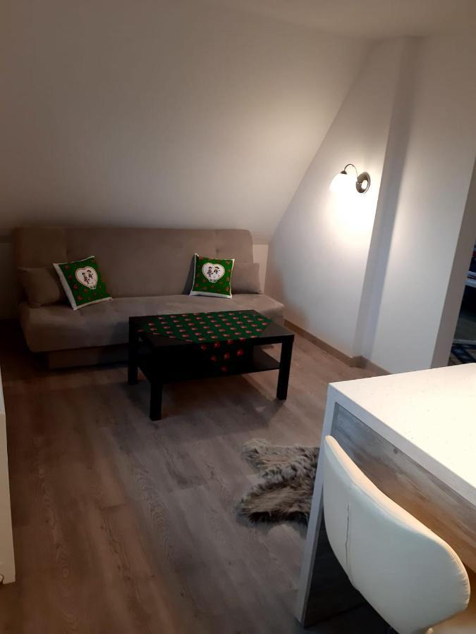 Apartamenty Z Widokiem Закопане Экстерьер фото
